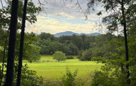 Dittmer Watts Nature Trail View