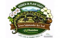Hidden in Plain Sight logo